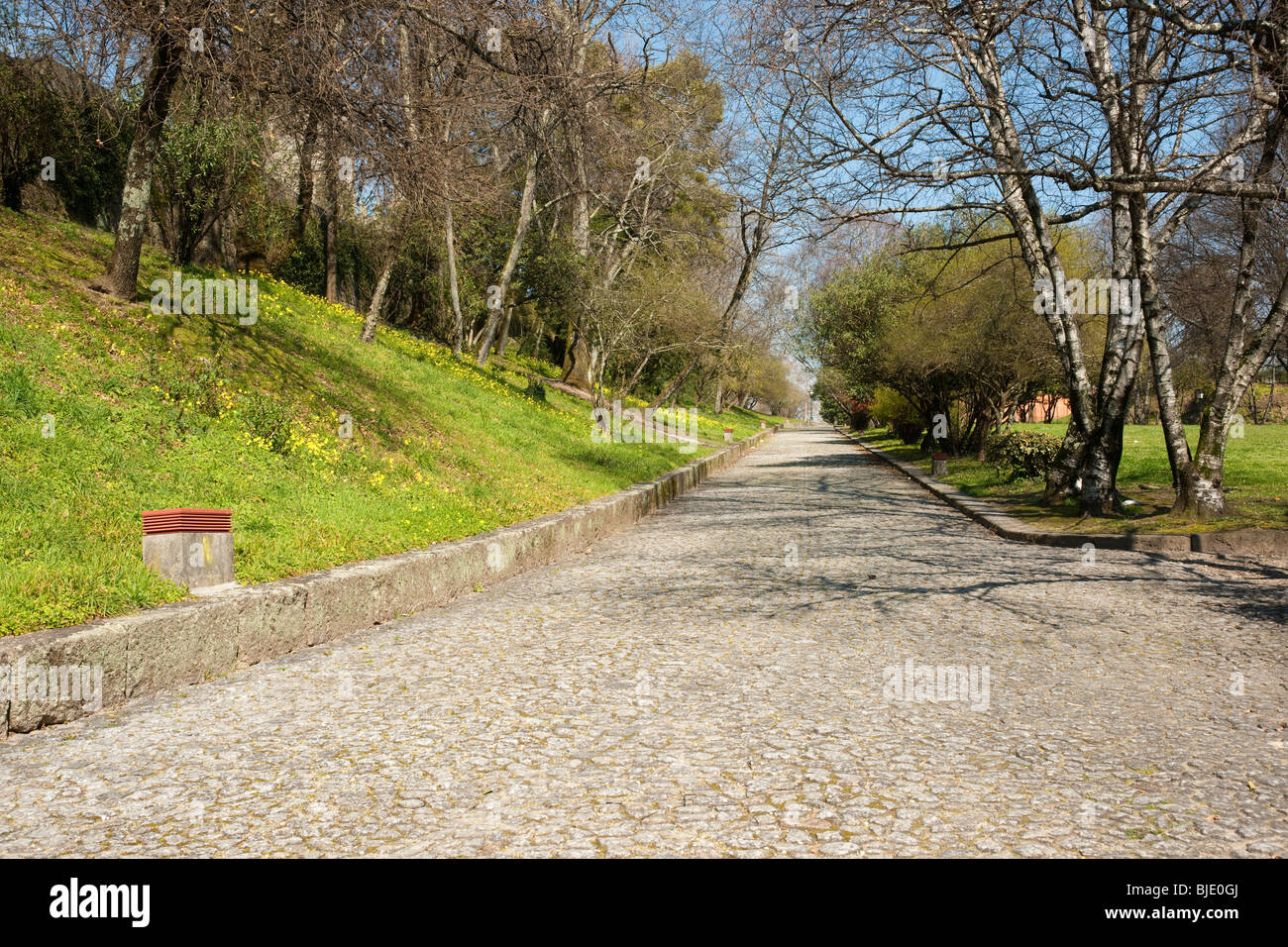 Green park grass trees hi-res stock photography and images - Alamy