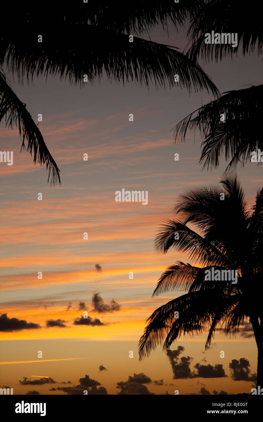 Usa. Florida. Miami Beach. Ocean Drive. Lummus Park at sunrise. Stock Photo
