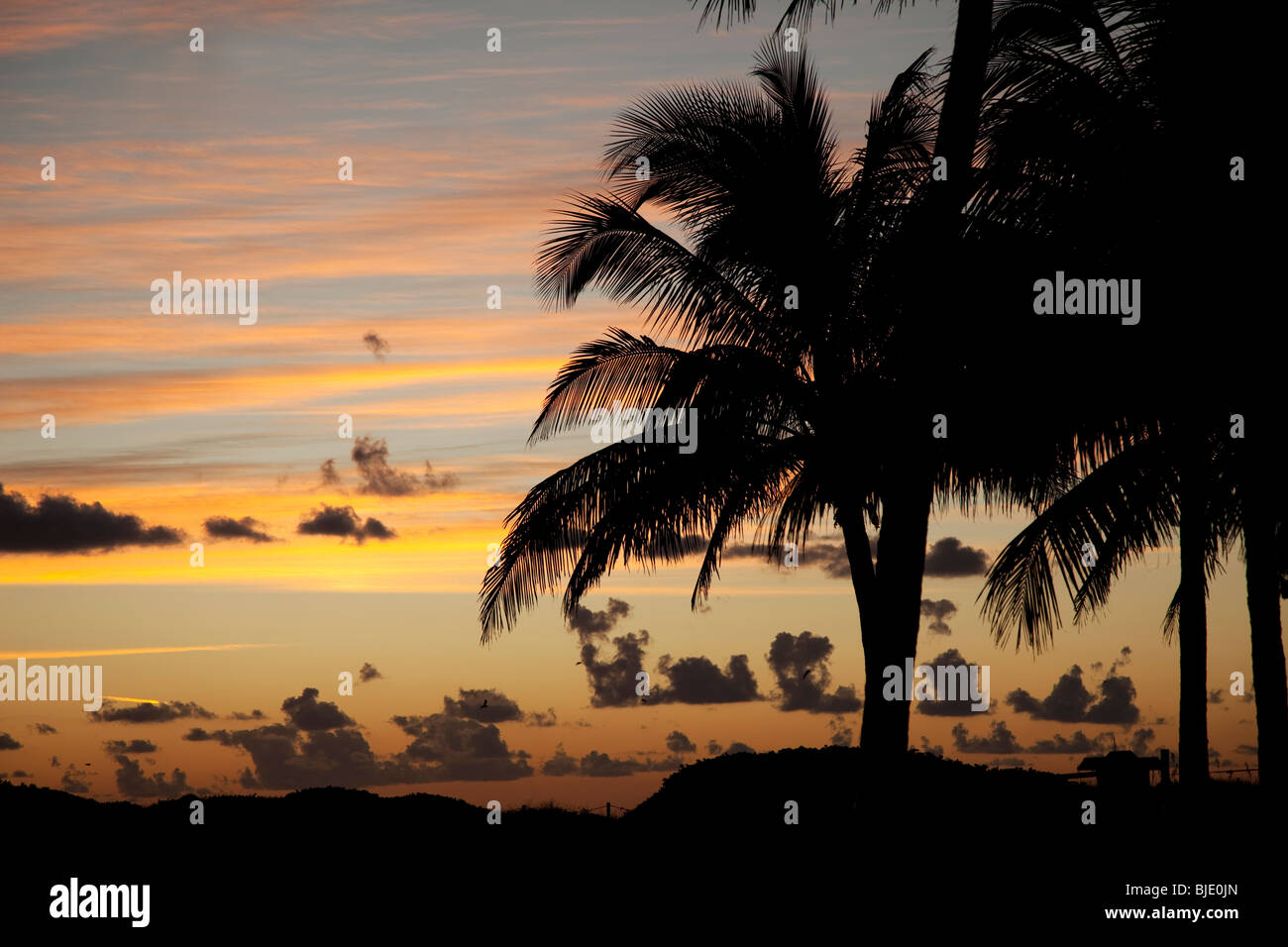 Usa. Florida. Miami Beach. Ocean Drive. Lummus Park at sunrise. Stock Photo