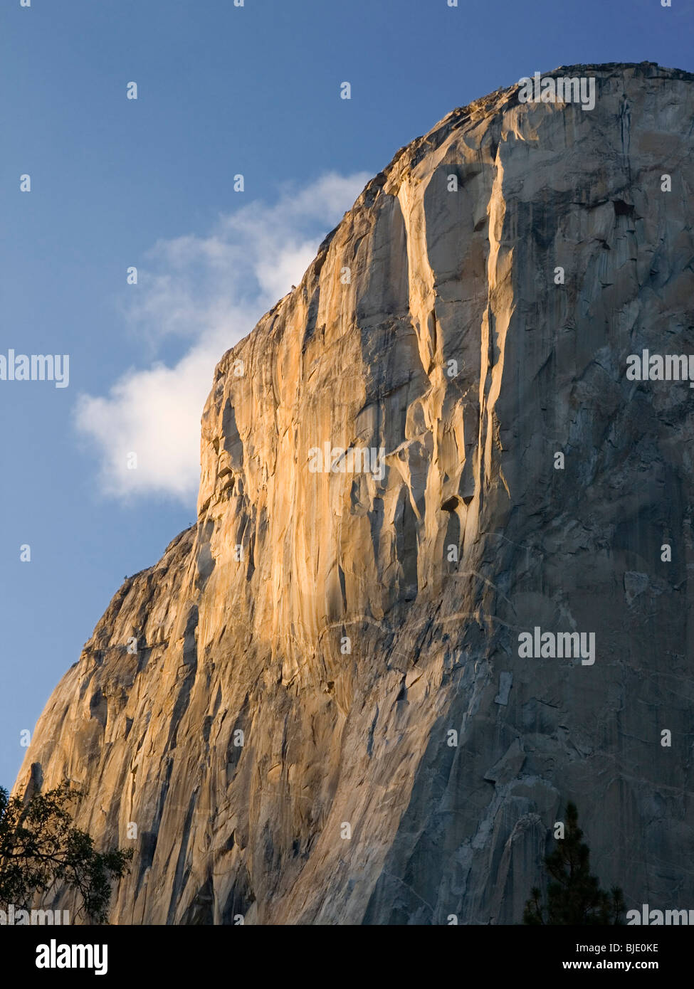 Texas flake hi-res stock photography and images - Alamy
