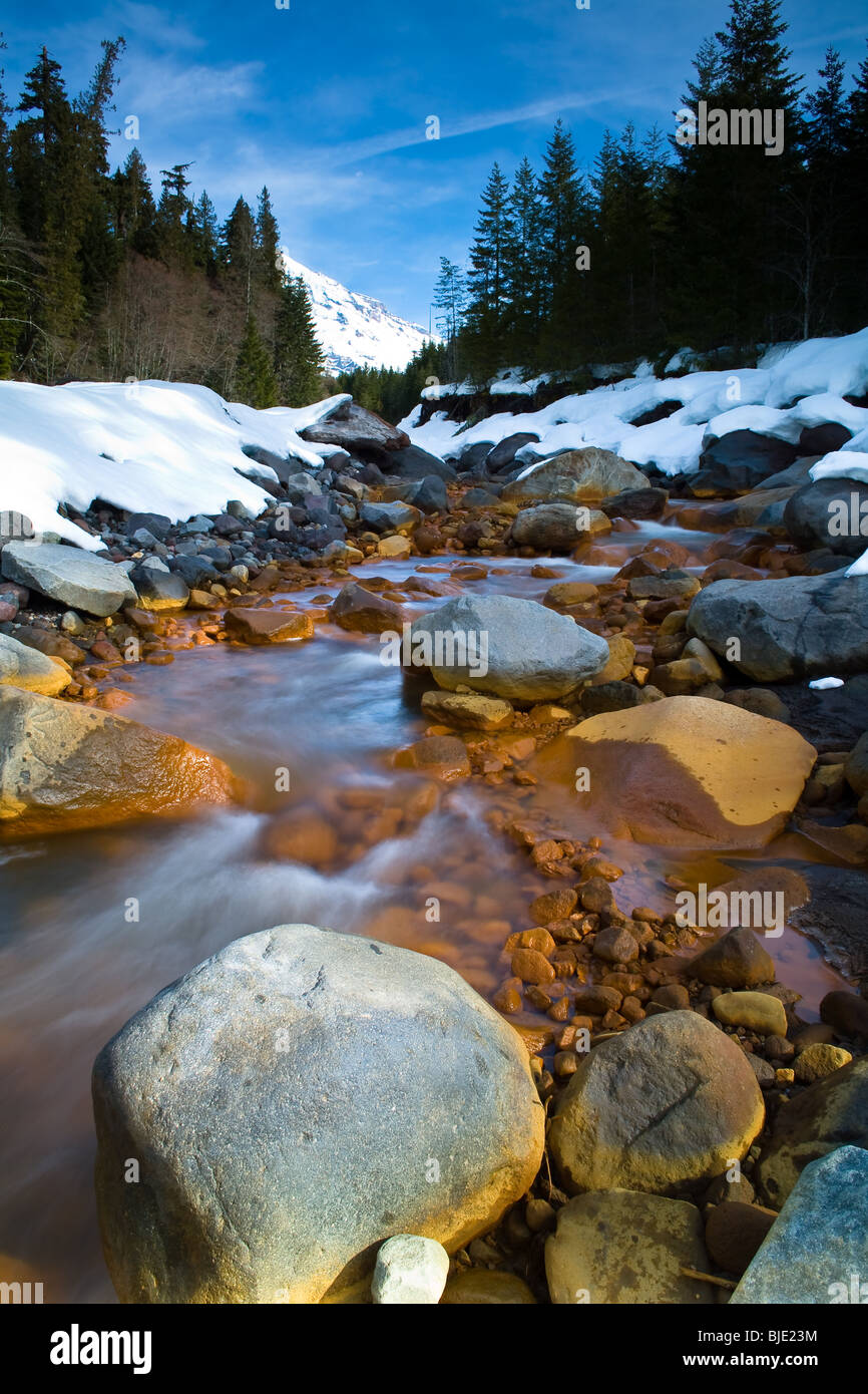 Kautz Creek is a tributary of the Nisqually River flowing from the Kautz glacier in Mt. Ranier National park.  It is known for being unpredictable and floods due to the glacial melt. Stock Photo