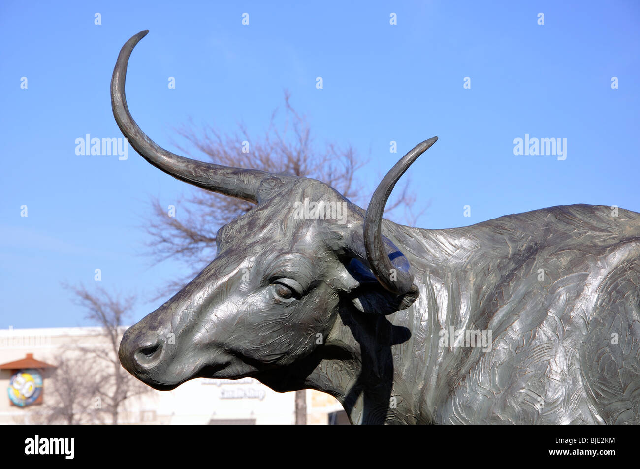 Longhorn sculpture, Frisco, Texas Stock Photo - Alamy