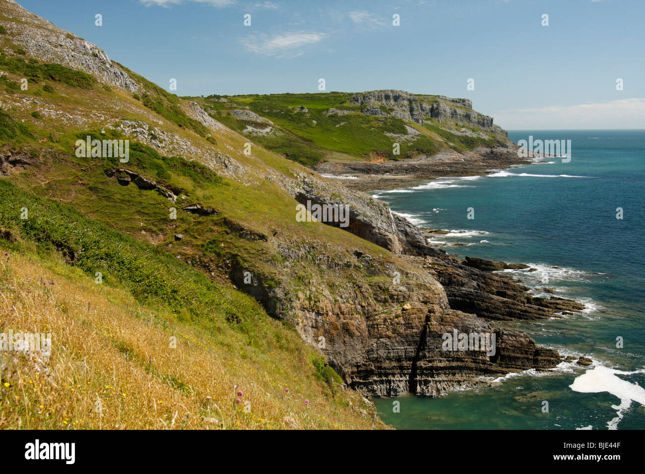 Pennard Cliffs, Gower Peninsula, West south Wales, U.K Stock Photo Alamy