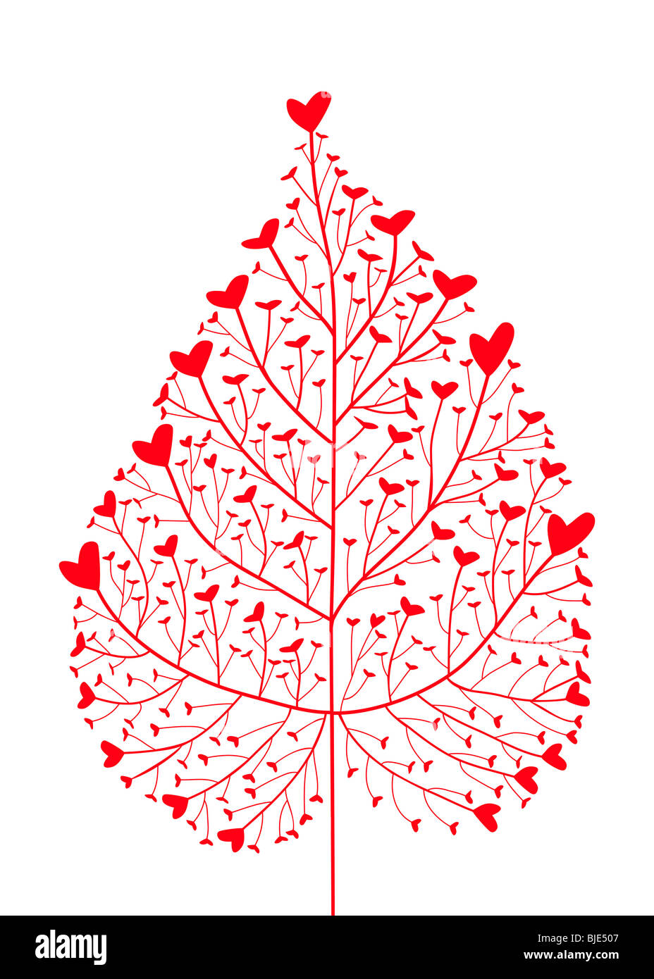 heart tree, heart leaf Stock Photo