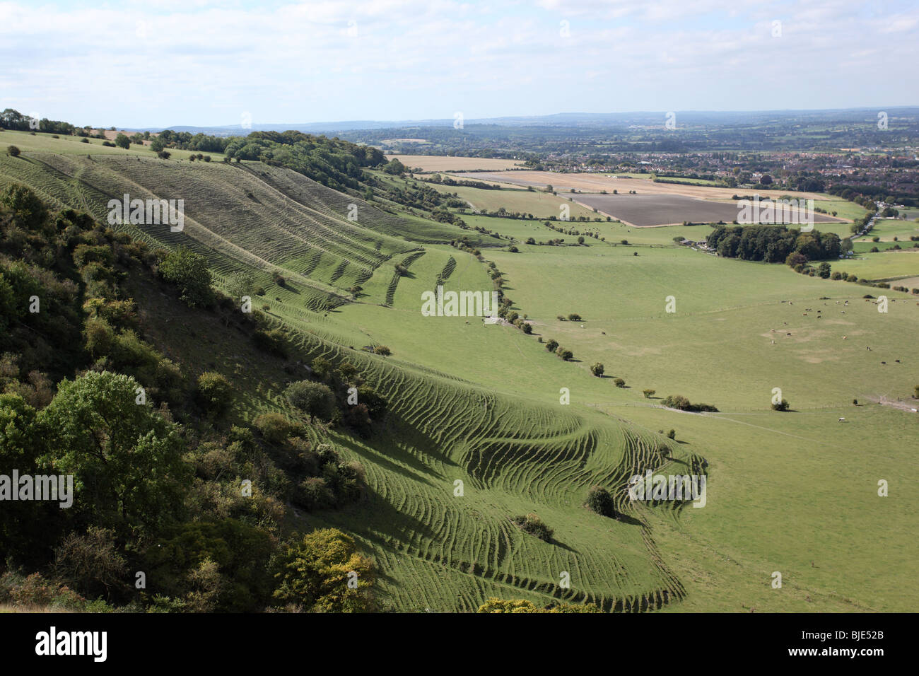 View of terracettes from Westbury White Horse, Westbury, Wiltshire