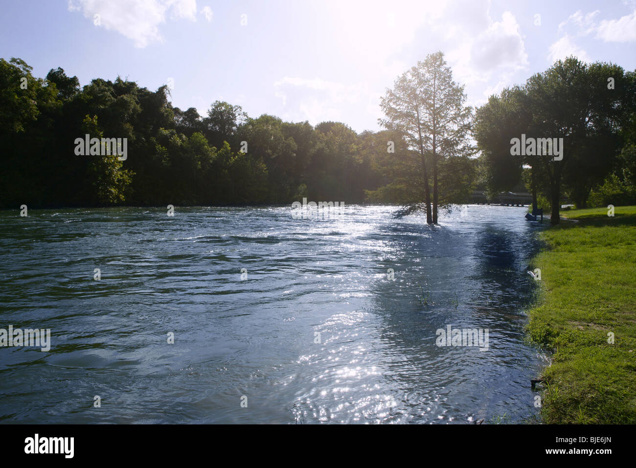 Blue river landscape near San Antonio Texas, nature Stock Photo Alamy