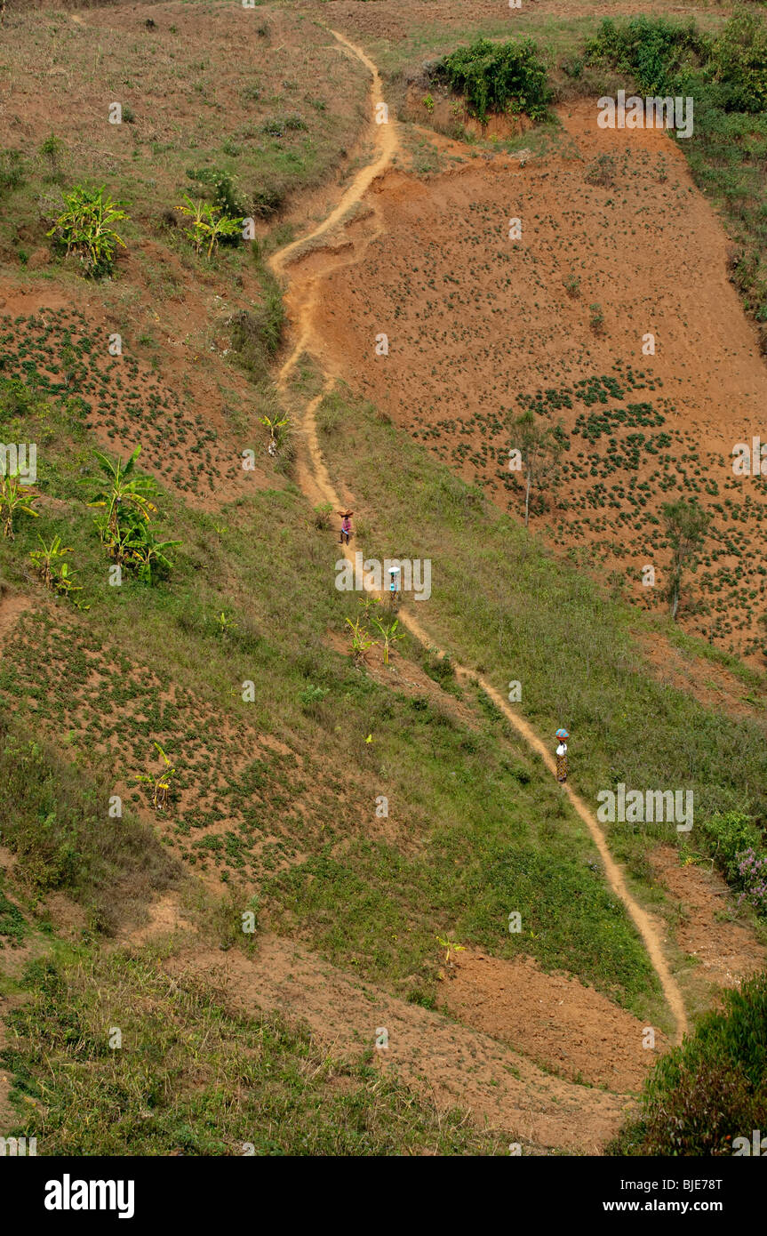 People walking up a track up a steep hillside. Rwanda. Stock Photo