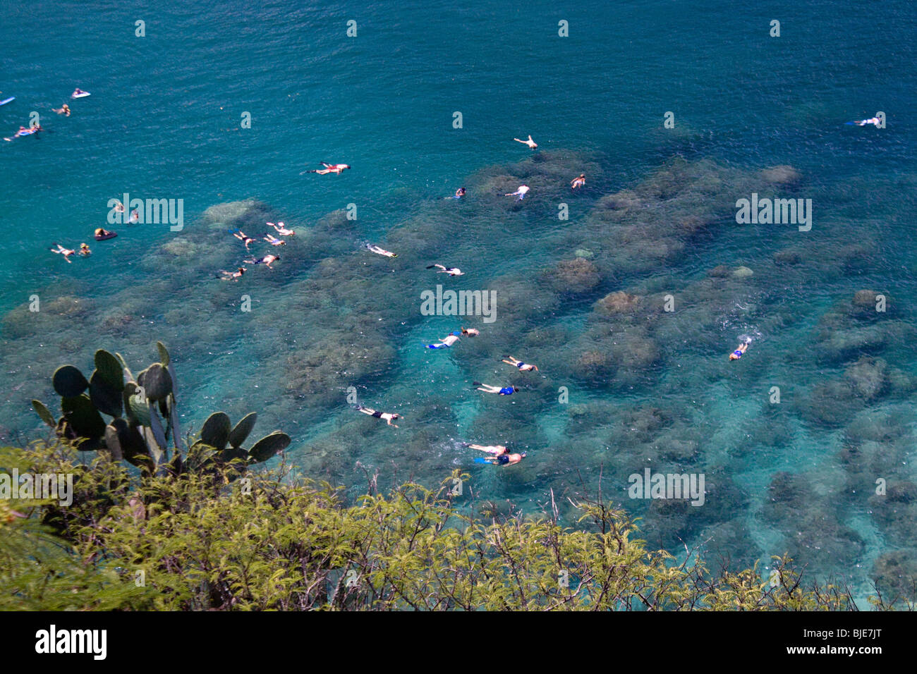 Snorkelers enjoy coral reefs and watching fish at Honolua Bay, Maui, Hawaii Stock Photo