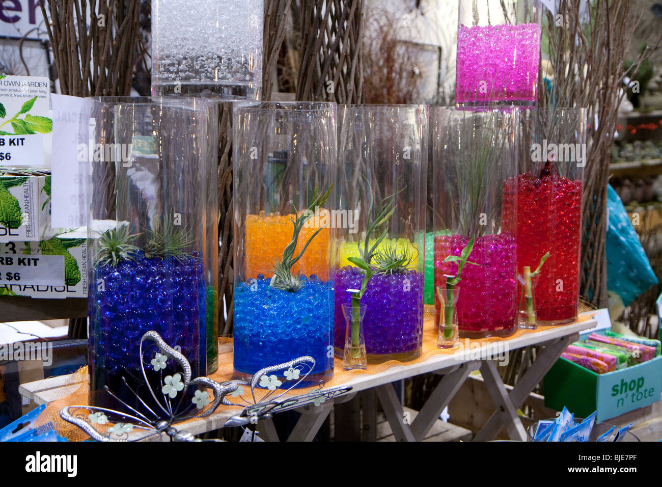 Canada Spring bloom colorful colourful event flower fresh garden gel glass plant show transparent water Stock Photo
