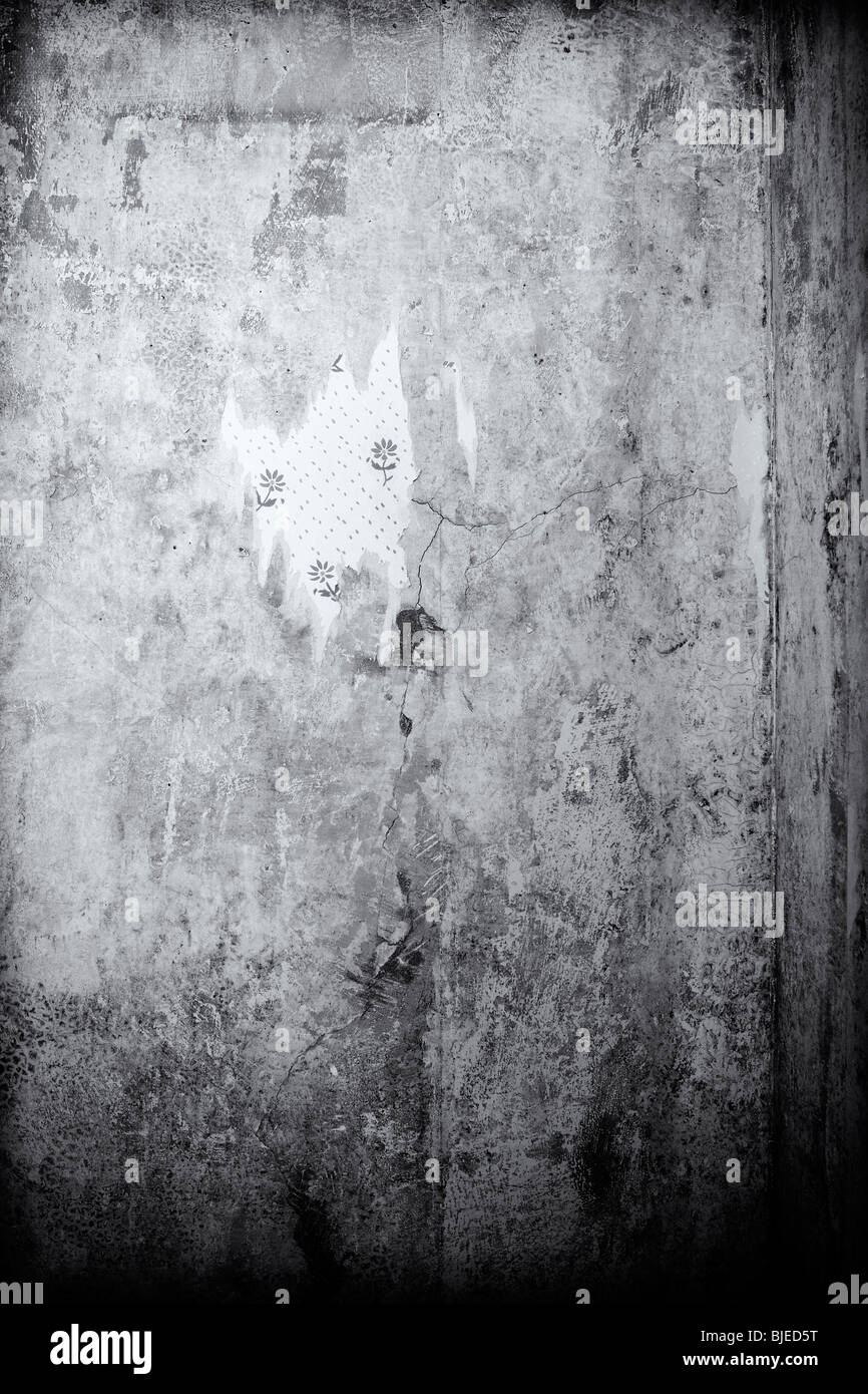 Wallpaper, rising damp Stock Photo