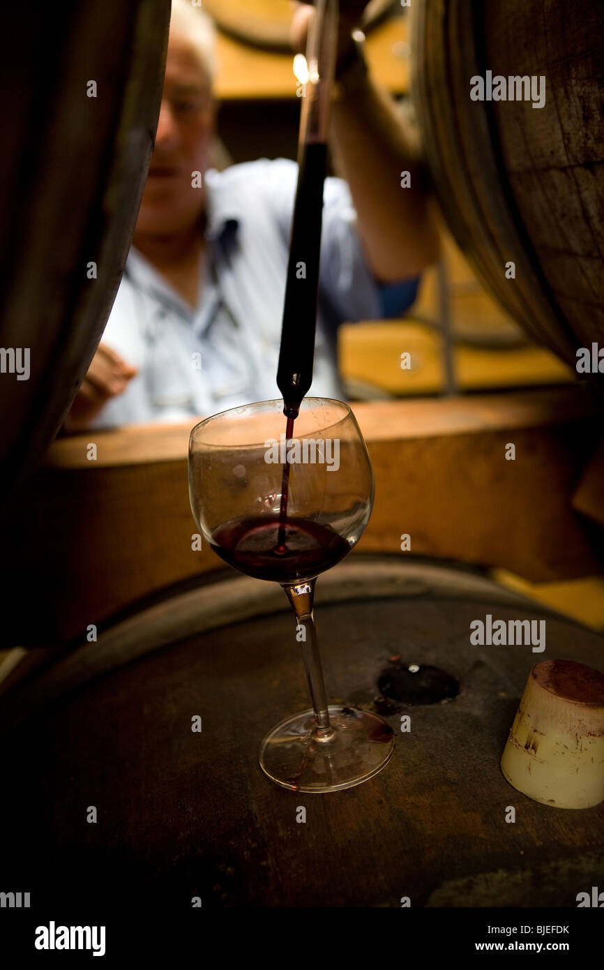 Europe, Italy, Friuli-Venezia Giulia, wine, Barrels, aging, cellar Stock Photo