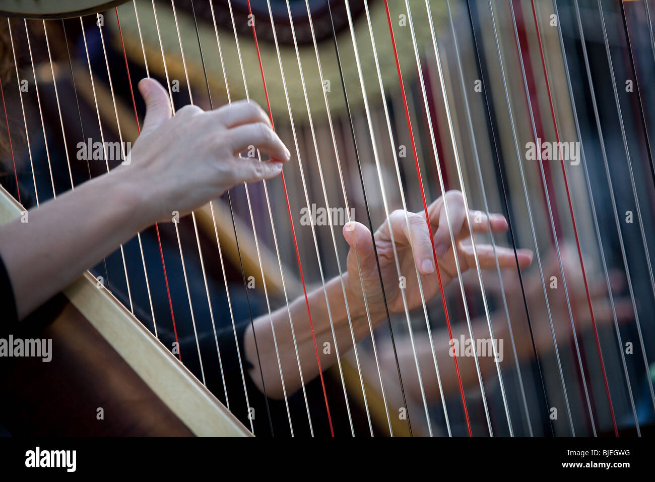 harp, harpist, instrument, music, orchestra Stock Photo