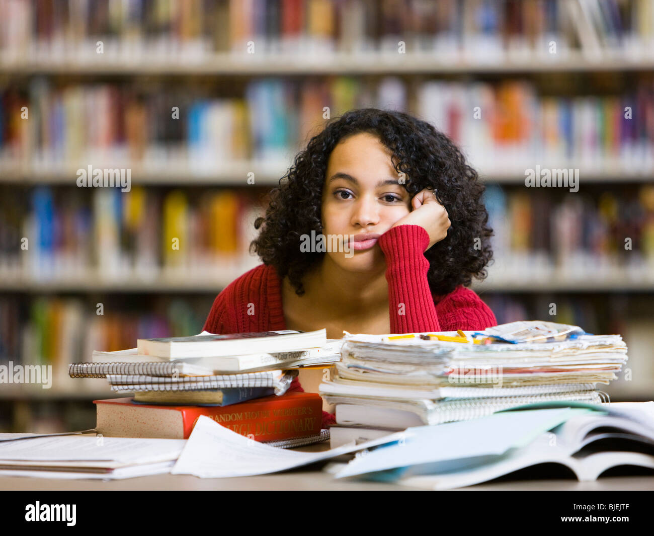 in the library Stock Photo - Alamy