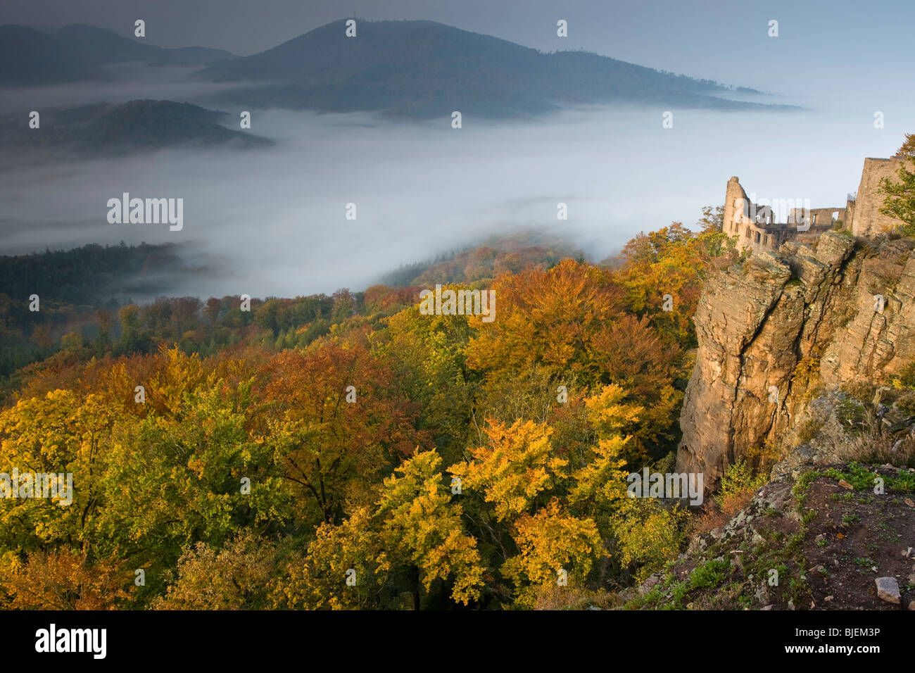 View over the Rhine Valley with Hohenbaden Castle, Baden-Baden, Germany Stock Photo