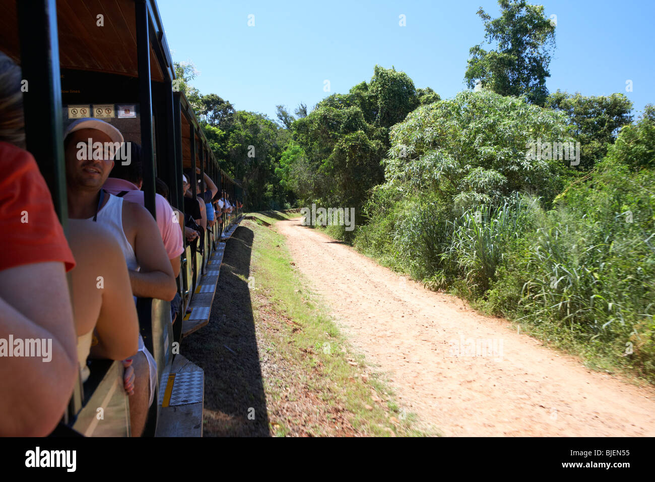 tourists on the ecological jungle tour train at iguazu national park, republic of argentina, south america Stock Photo