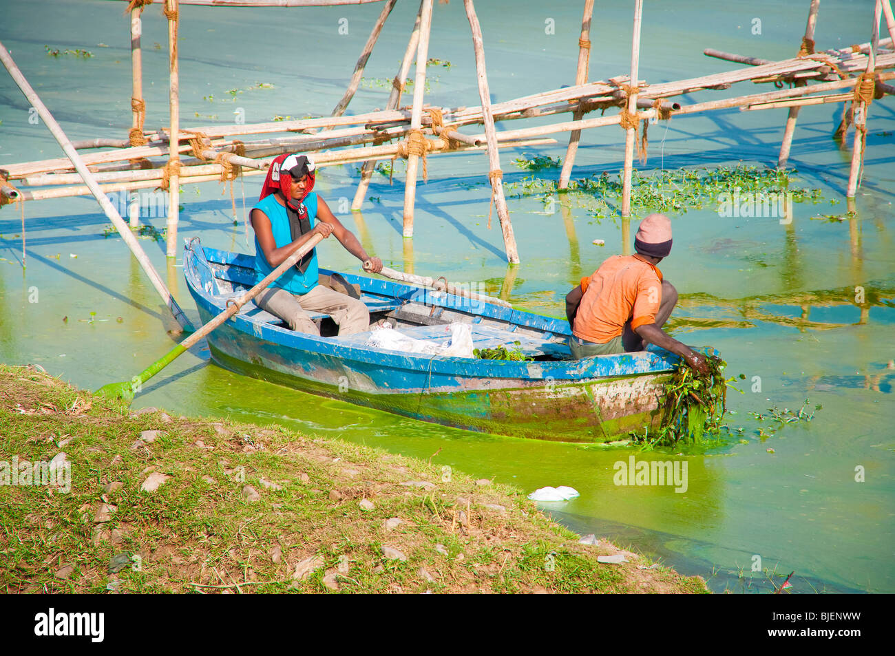 Indian men rowing a boat, India Stock Photo Alamy
