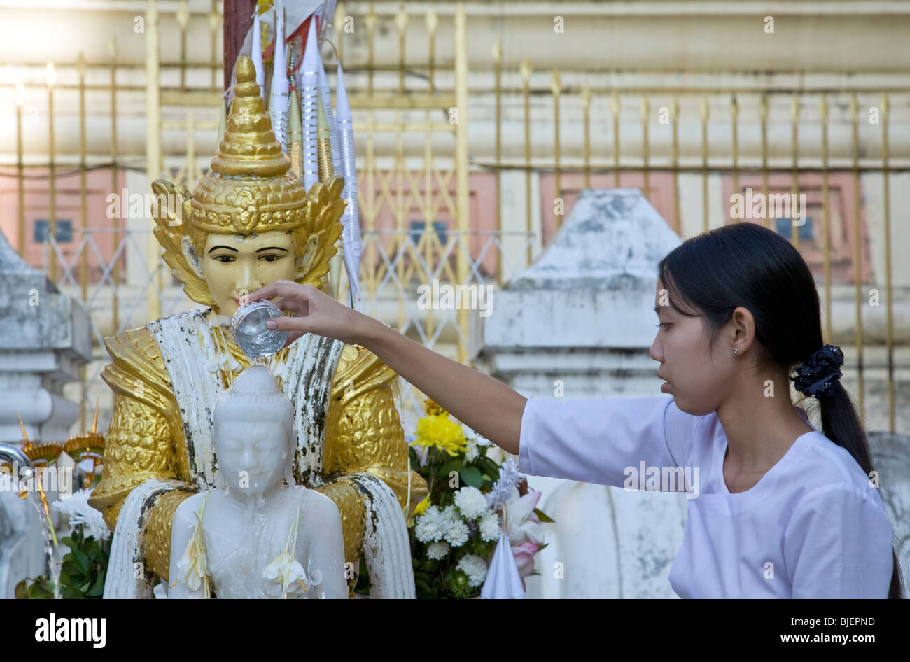 Burmese young woman pouring water over a Buddha statue (buddhist ritual