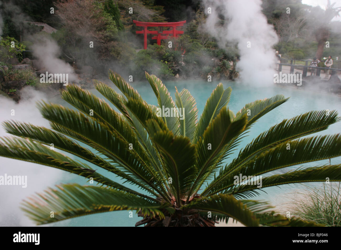 The red 'Torii' gates of a shinto shrine, stand beside a volcanic water ...