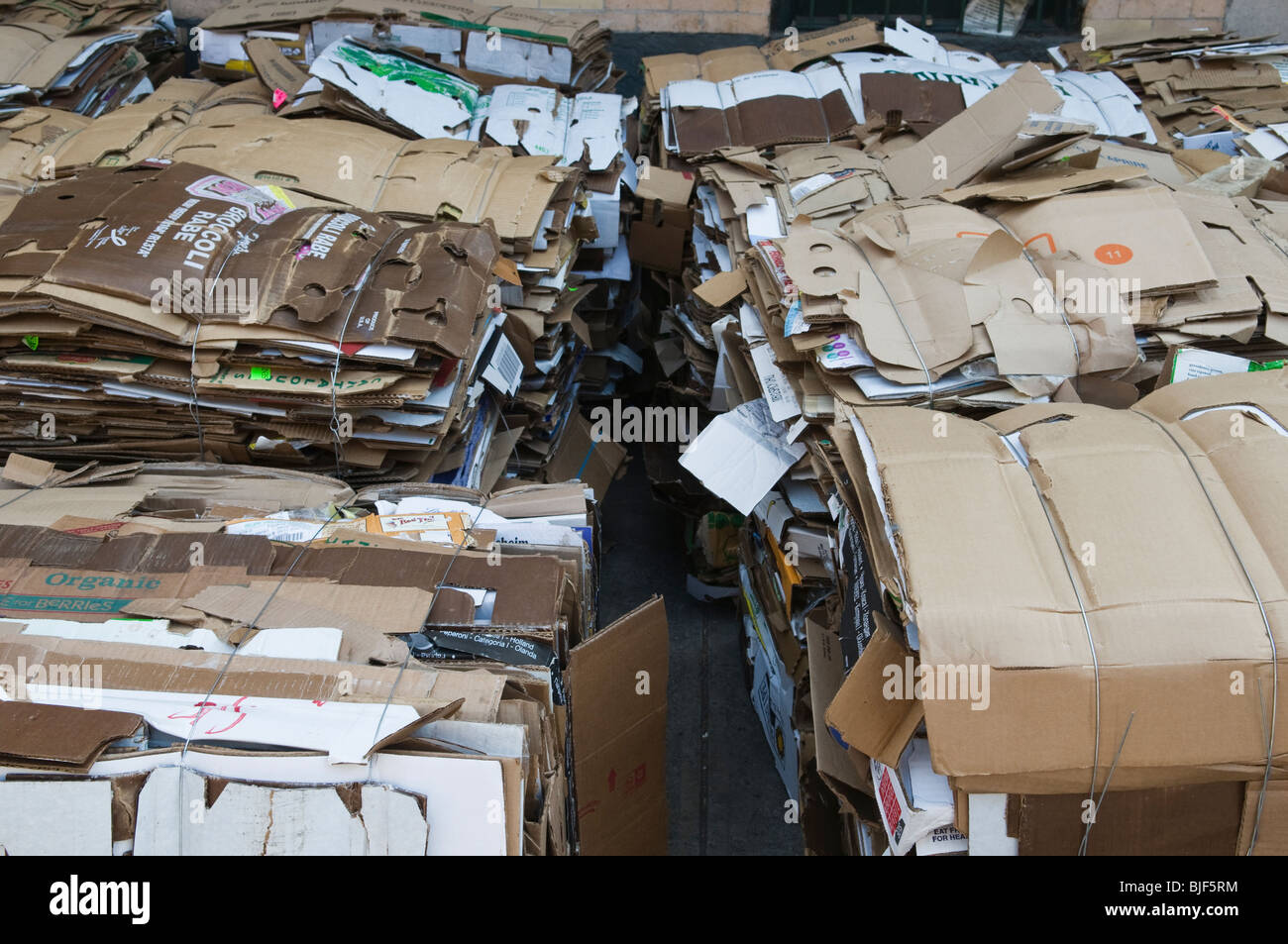 Stacks of recyclable cardboard boxes Stock Photo Alamy