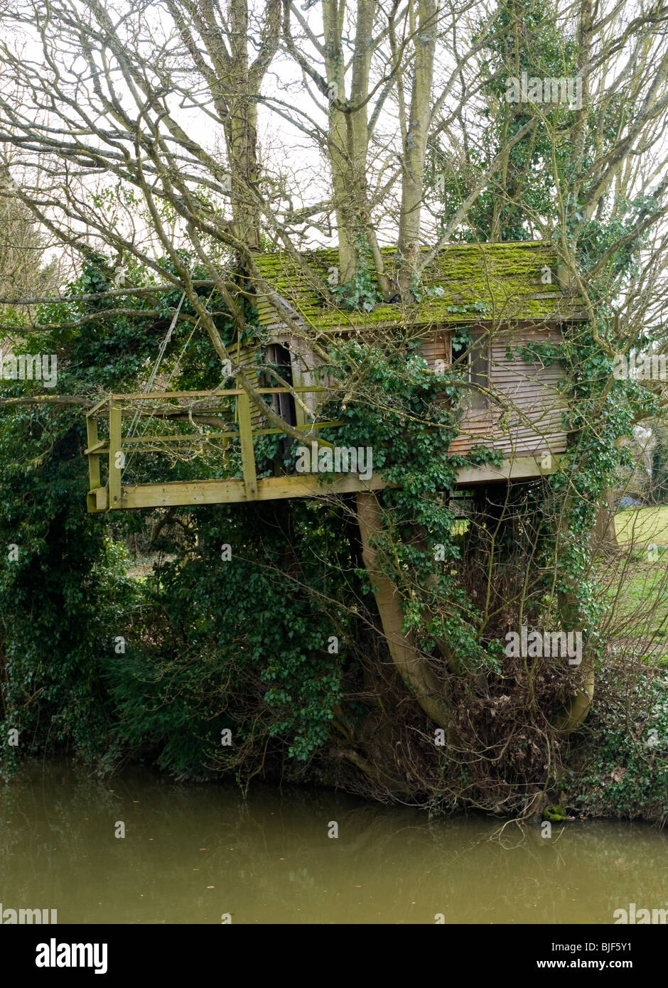A moss covered tree house on the bank of the Oxford Canal near Lower Heyford, Oxfordshire Stock Photo