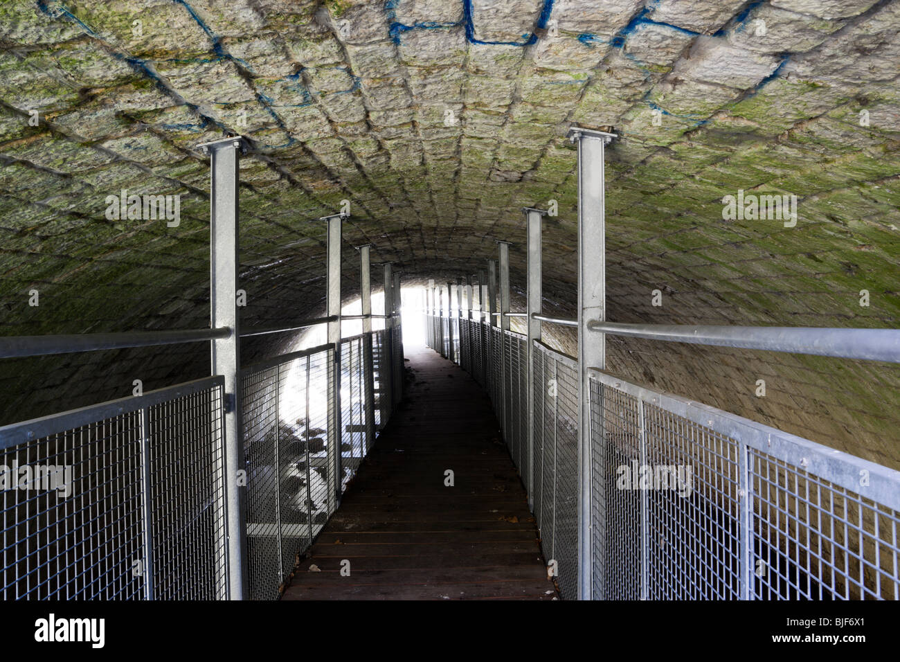Pedestrian walkway under a bridge following the Voie Revolutionnaire, Neuchatel Switzerland. Charles Lupica Stock Photo