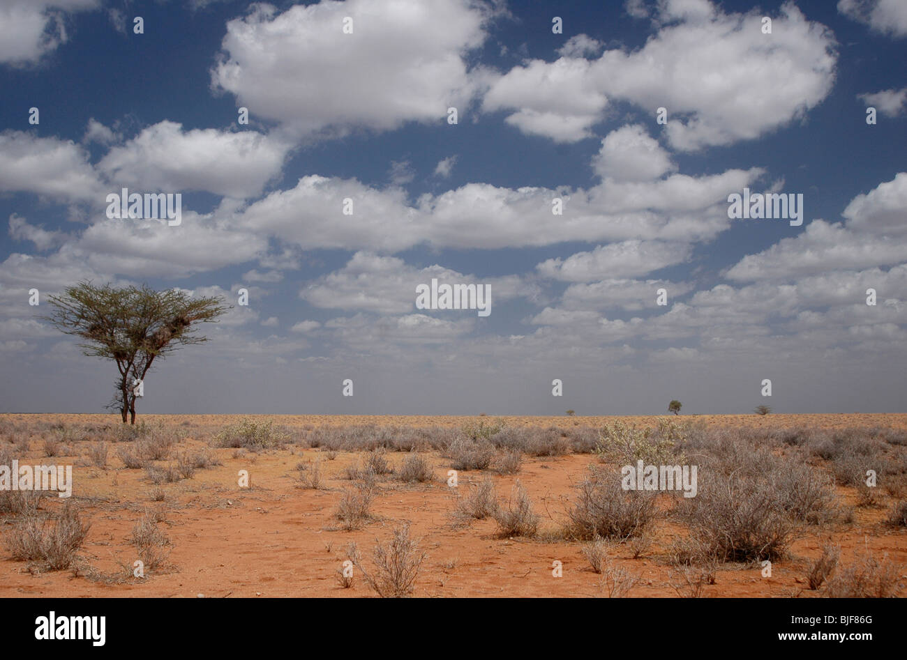 The dry and arid land of Northern Kenya, Eastern Africa Stock Photo - Alamy