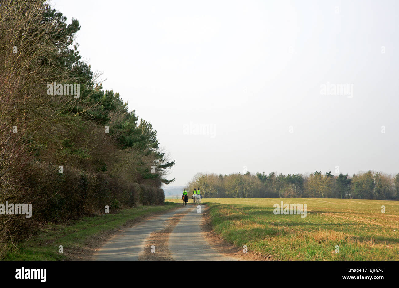 A quiet country lane at Thrigby, Norfolk, United Kingdom, with three ...