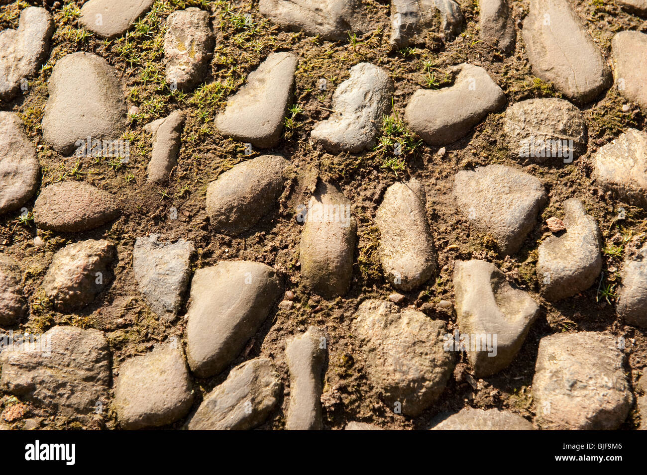 Cobbled stone pathway Stock Photo - Alamy