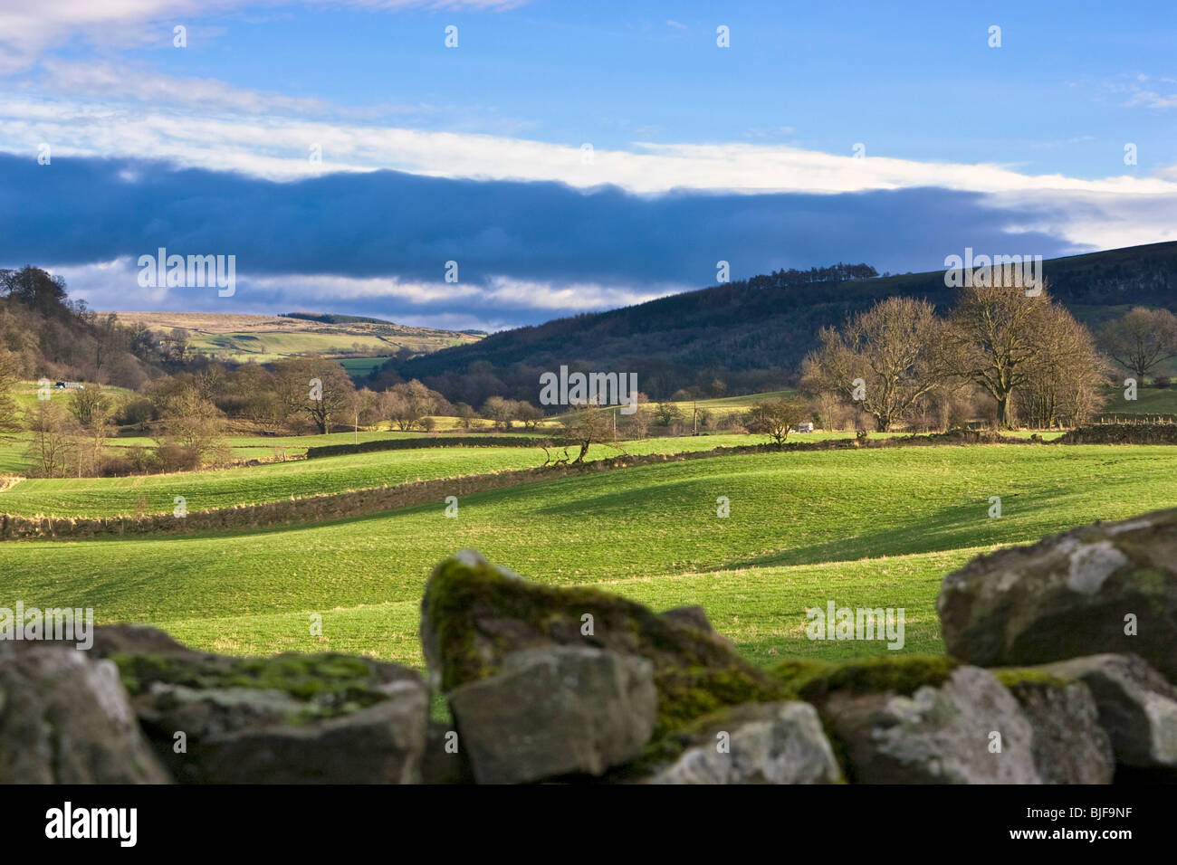 Swaledale in the Yorkshire Dales National Park, England, UK Stock Photo