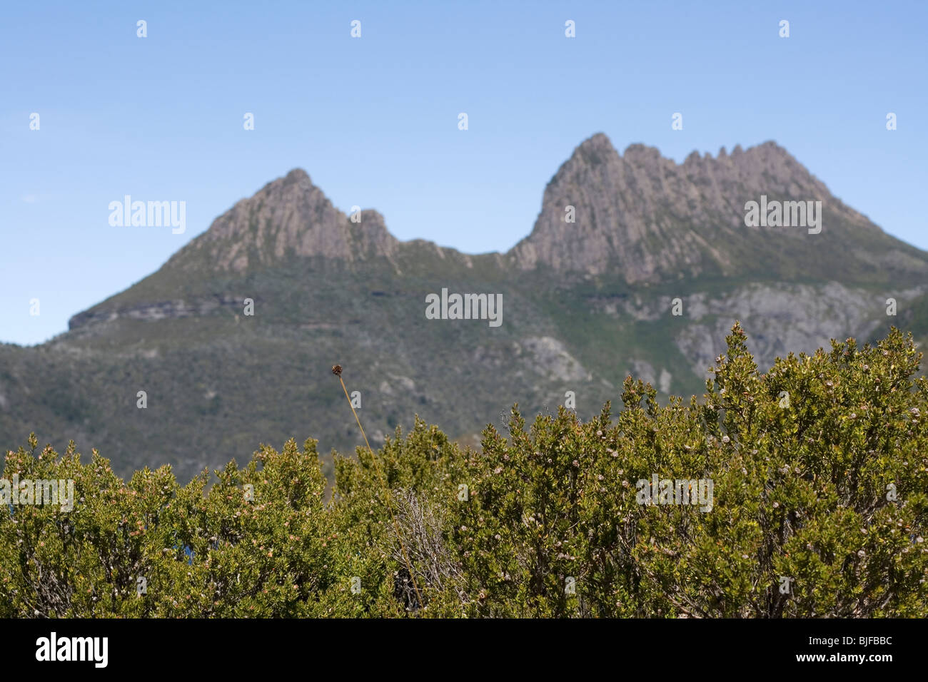 Cradle Mountain, Tasmania, Australia Stock Photo - Alamy