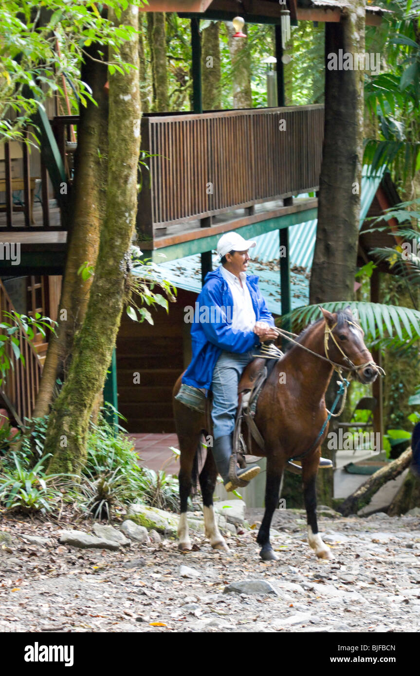 Horseriding Parque Nacional la Amistad Panama Stock Photo