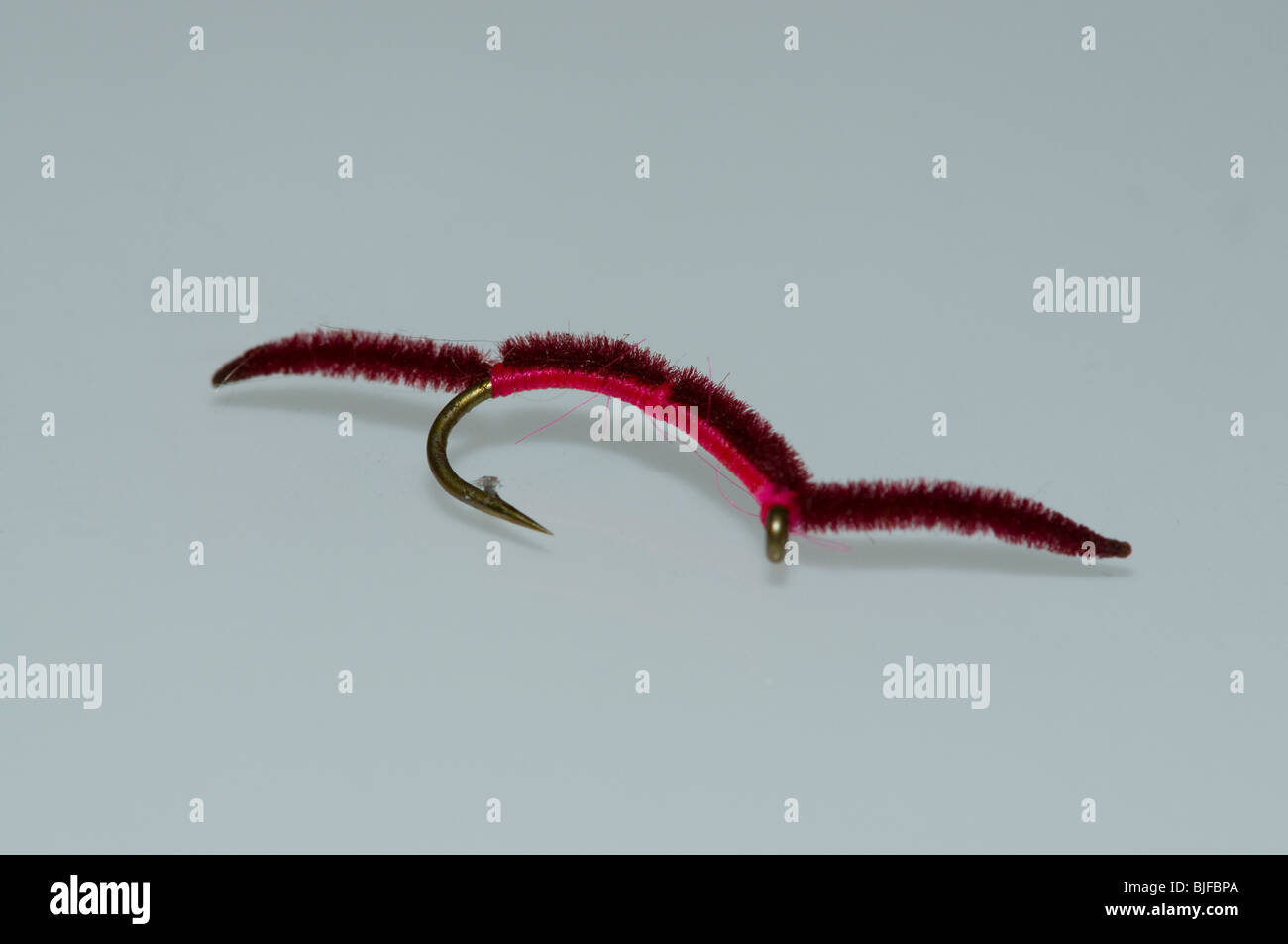 Trout Fly - San Juan Worm Stock Photo - Alamy