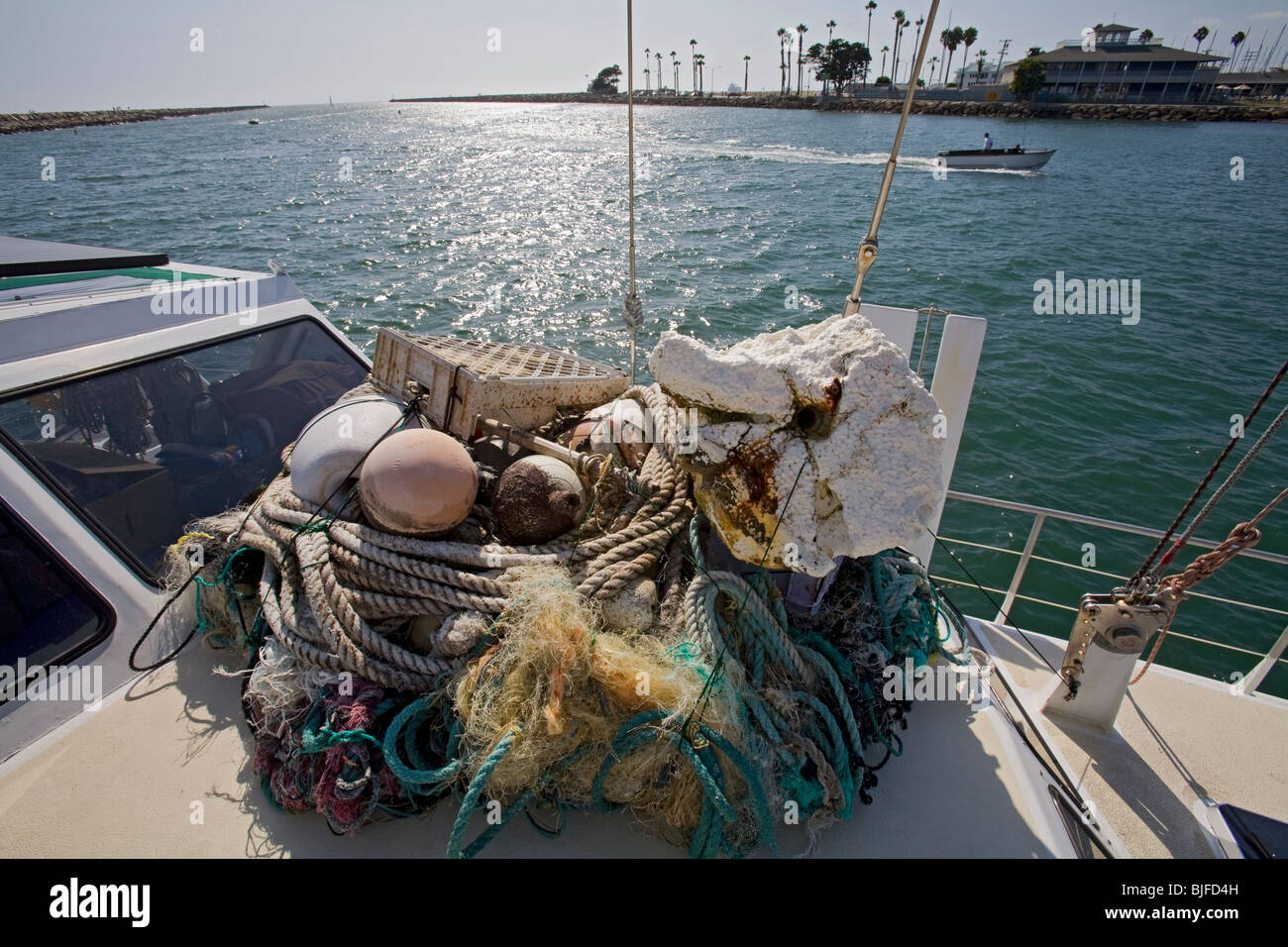 Plastic samples and trash collected in the North Pacific Gyre. Long Beach, California, USA. Stock Photo