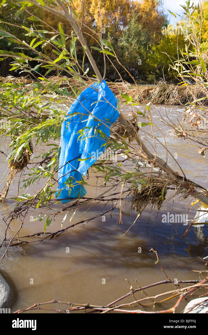 Plastic bags and other trash get caught and accumulate in trees and