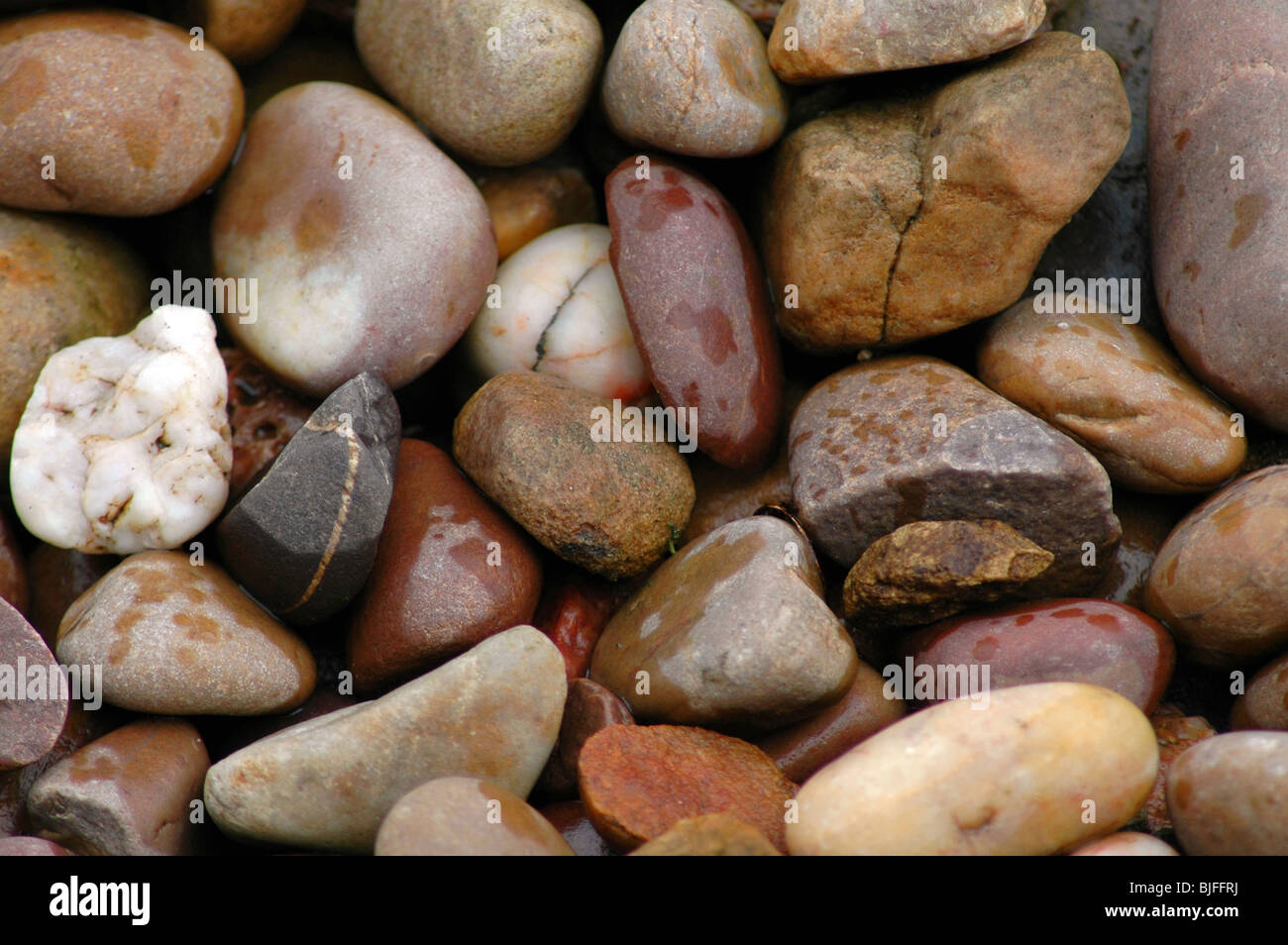 Wet Pebbles Stock Photo
