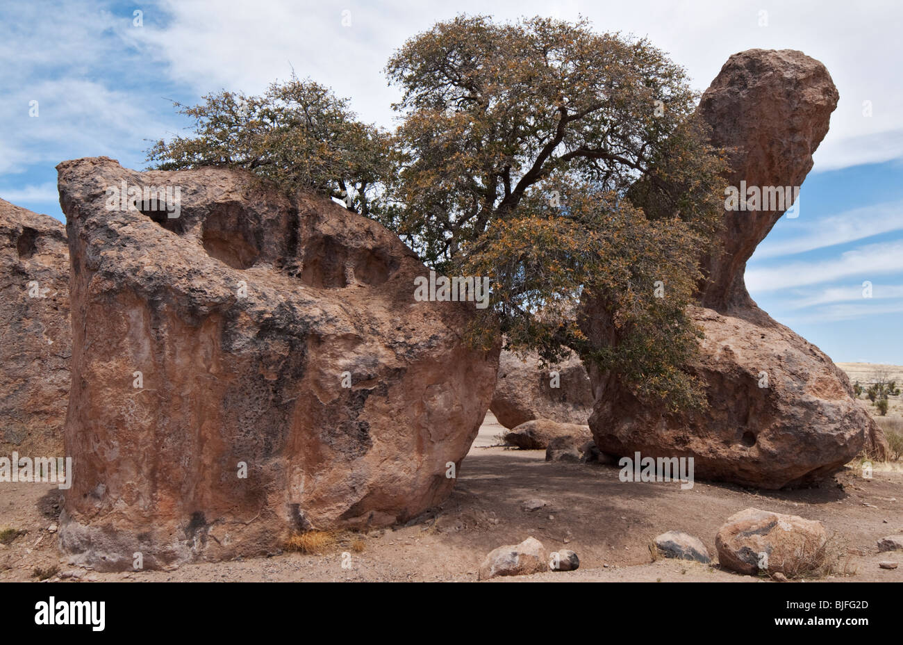 City of Rocks State Park noted for volcanic rock formations is located in southwestern New Mexico near town of Faywood Stock Photo
