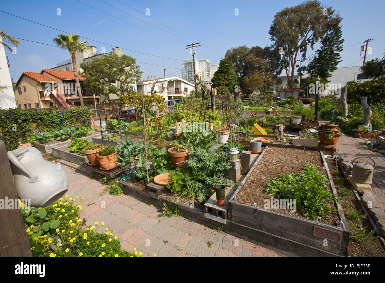 Eastwind Community Gardens, Marina Del Rey, Los Angeles, California, USA Stock Photo
