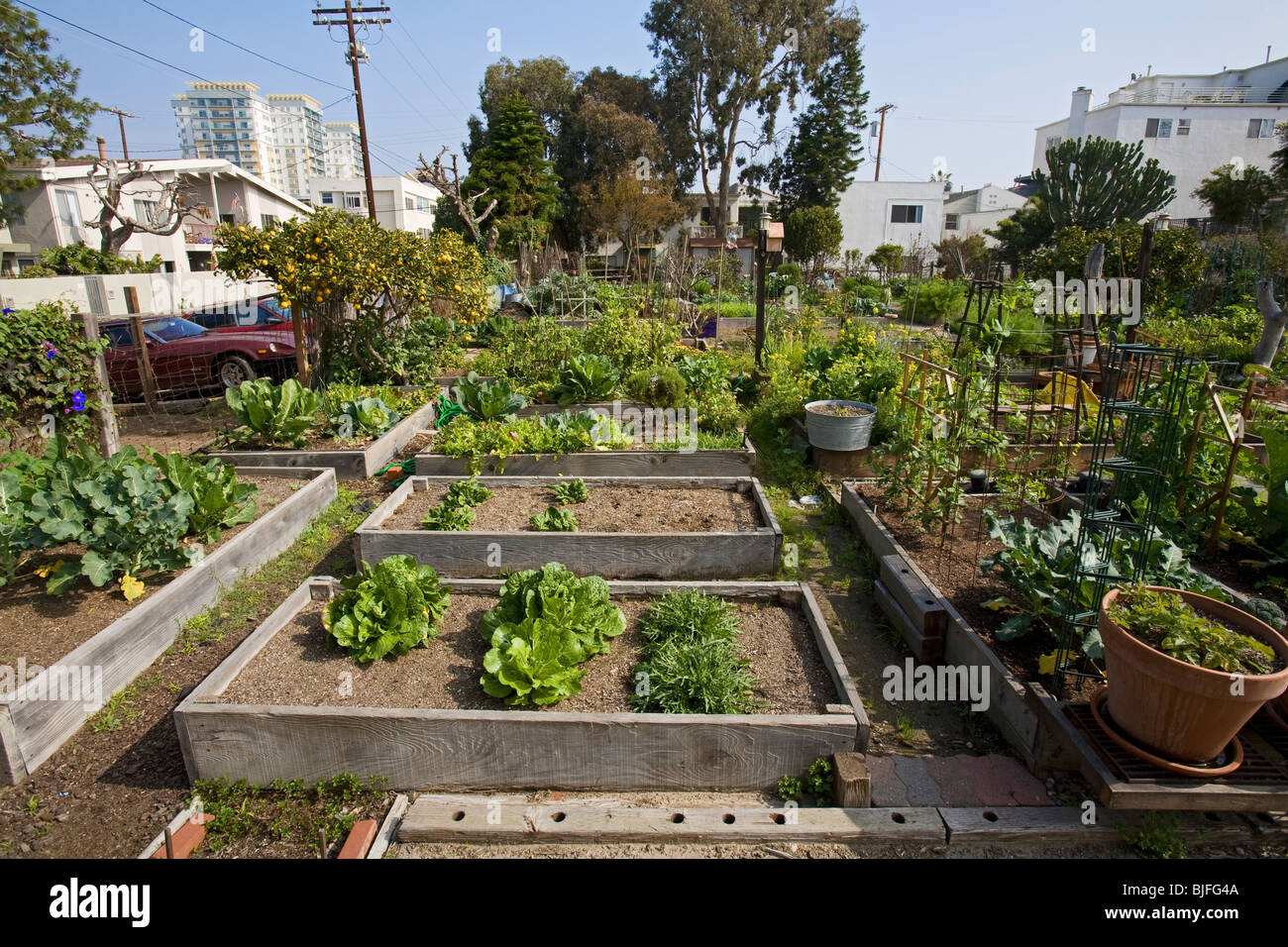 Eastwind Community Gardens, Marina Del Rey, Los Angeles, California, USA Stock Photo