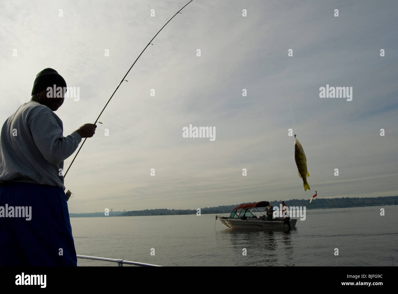 Perch fishing on Lake Washington in Juanita Bay, Kirkland, Washington
