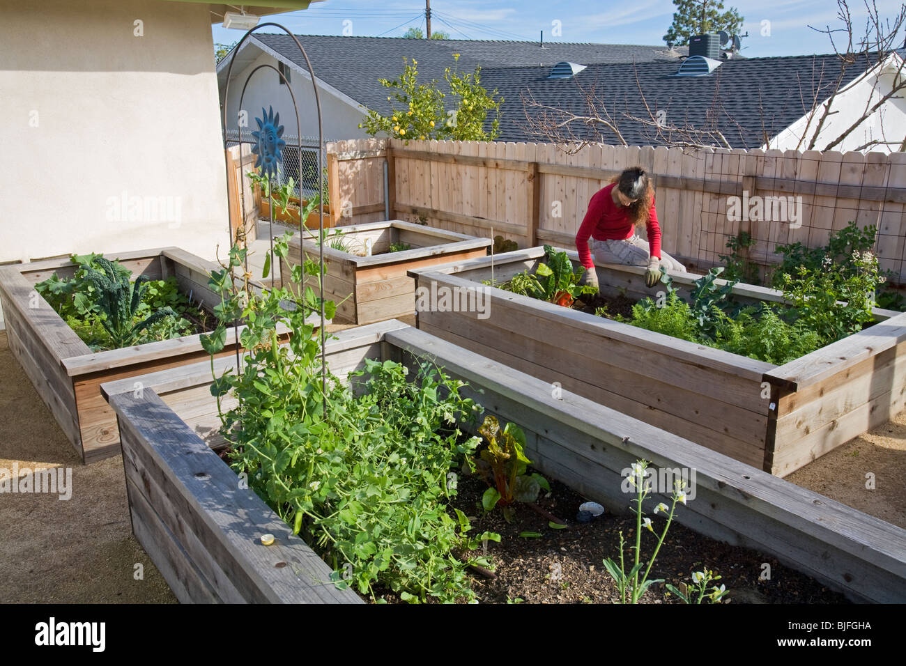Urban garden encircles house in Rancho Palos Verdes. Los Angeles County, California, USA Stock Photo