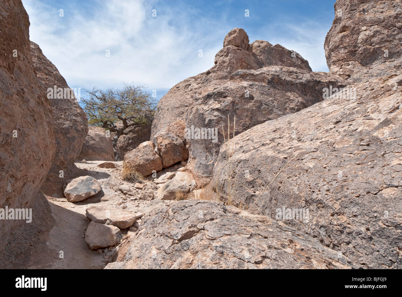 City of Rocks State Park noted for volcanic rock formations is located in southwestern New Mexico near town of Faywood Stock Photo