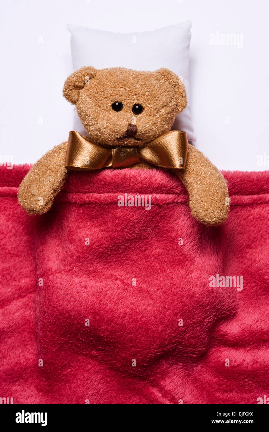 lying plush teddy bear covered with cosy blanket Stock Photo Alamy