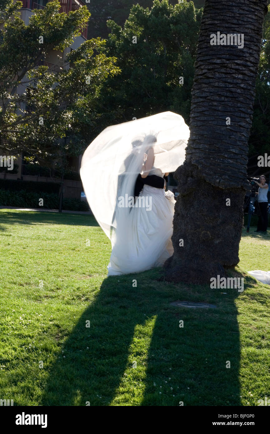 The veil blows in the wind during a wedding shoot. Stock Photo