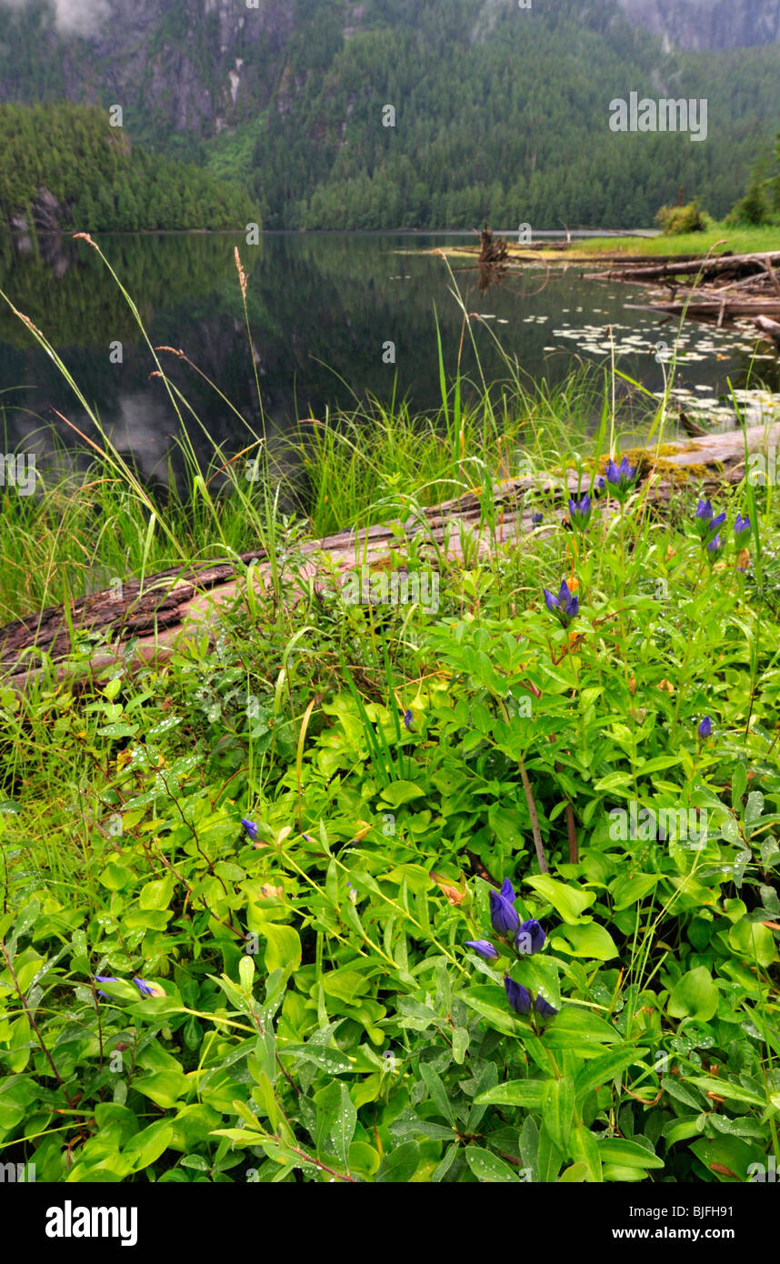 Great bear lake canada hires stock photography and images Alamy