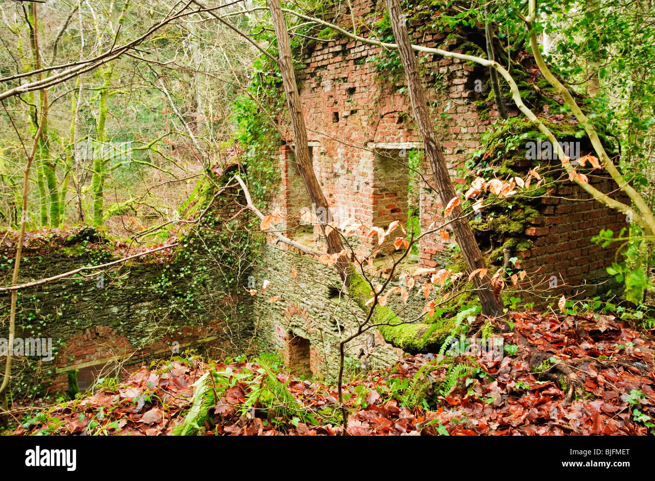 Ruined mill building in the Roe Valley Country Park near Limavady, County Derry, Northern Ireland Stock Photo