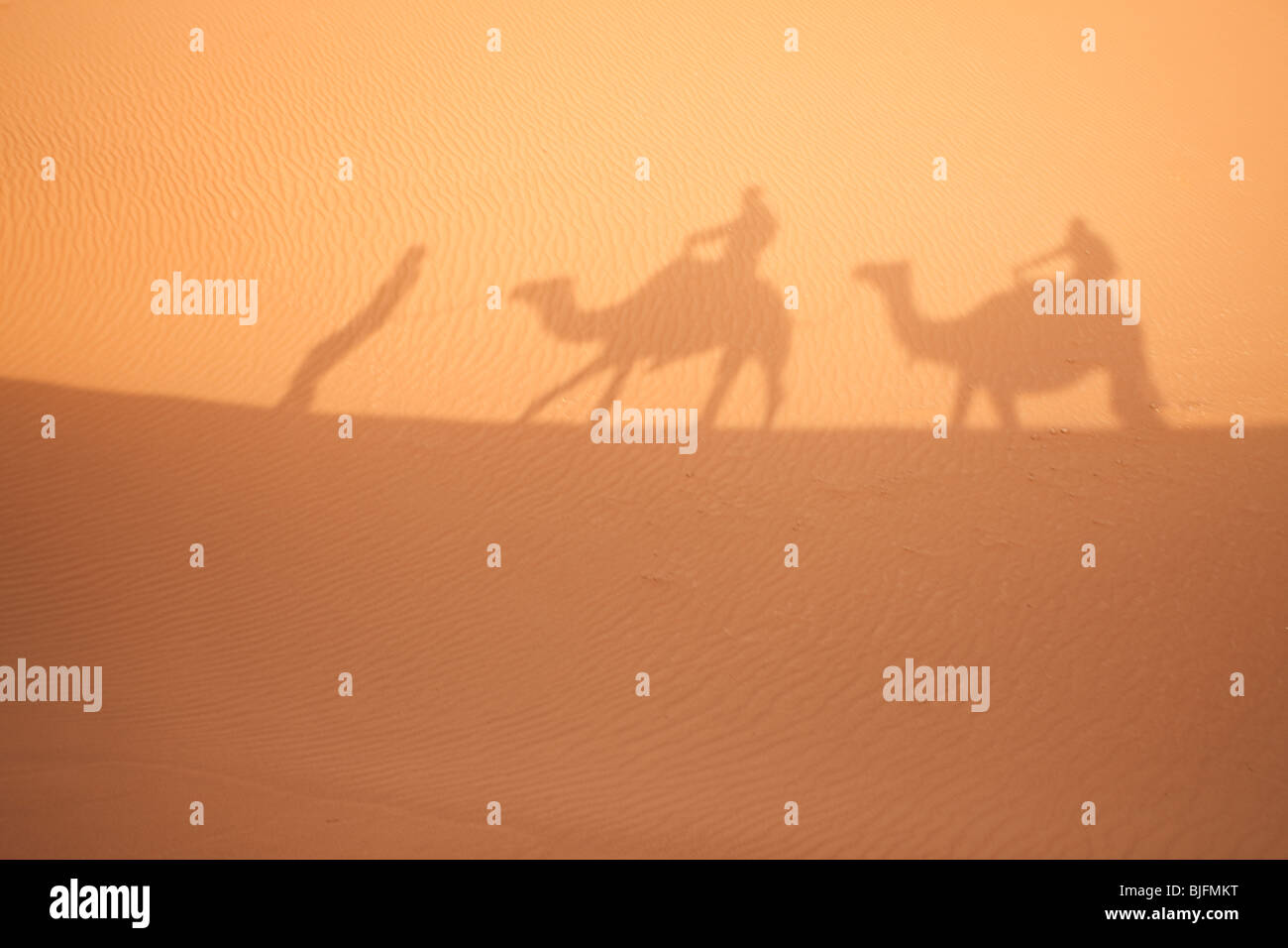 Camel shadows on Sahara sand in Morocco. Horizontal shot. Stock Photo