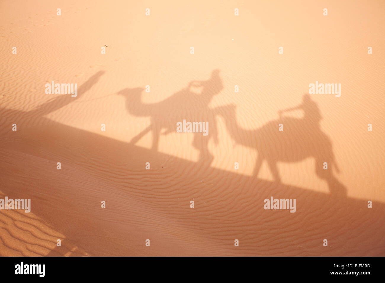 Camel shadows on Sahara sand in Morocco. Horizontal shot. Stock Photo