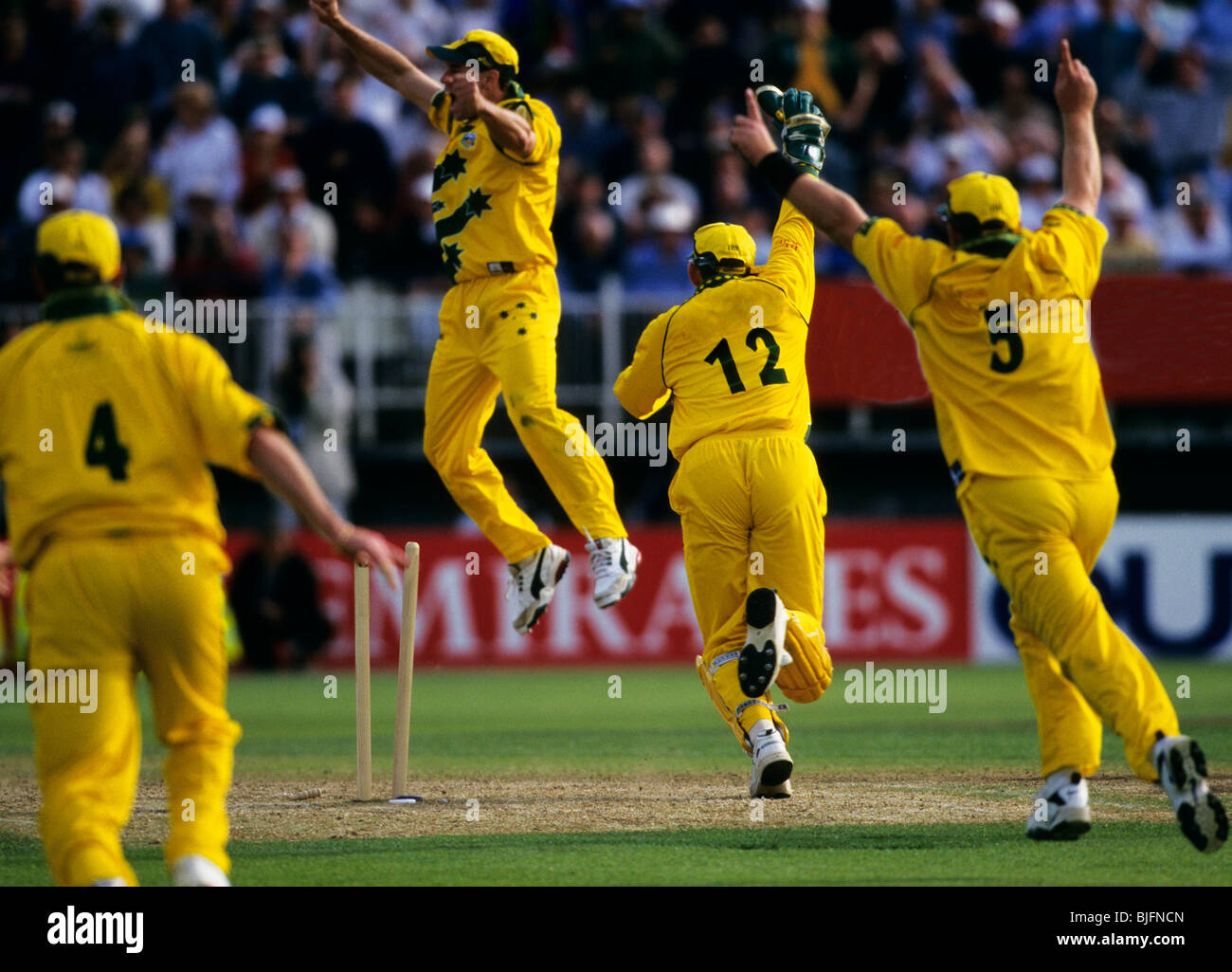 Cricketers celebrating Stock Photo