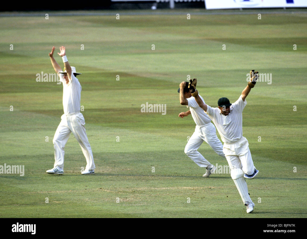 Cricketers celebrating Stock Photo