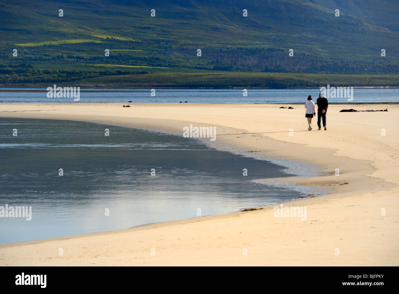 Couple walking in the morning by Flamingo lake near Hermanus, Western Cape, South Africa Stock Photo